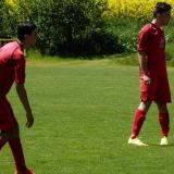 Dorost v Tisu