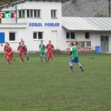 Dorost v Pohledu