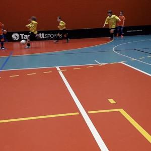 Benjamínci v Dolní Cerekvi v hale