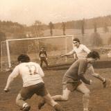 P. Beseda a V. Mařinec
